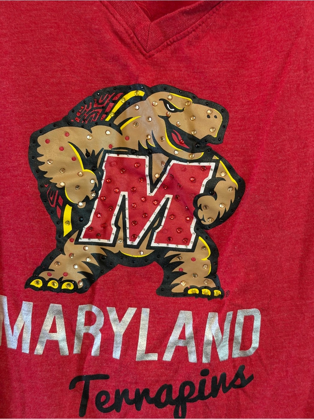 Campus Heritage Red T-Shirt with White Printed Label - Picture 2 of 6